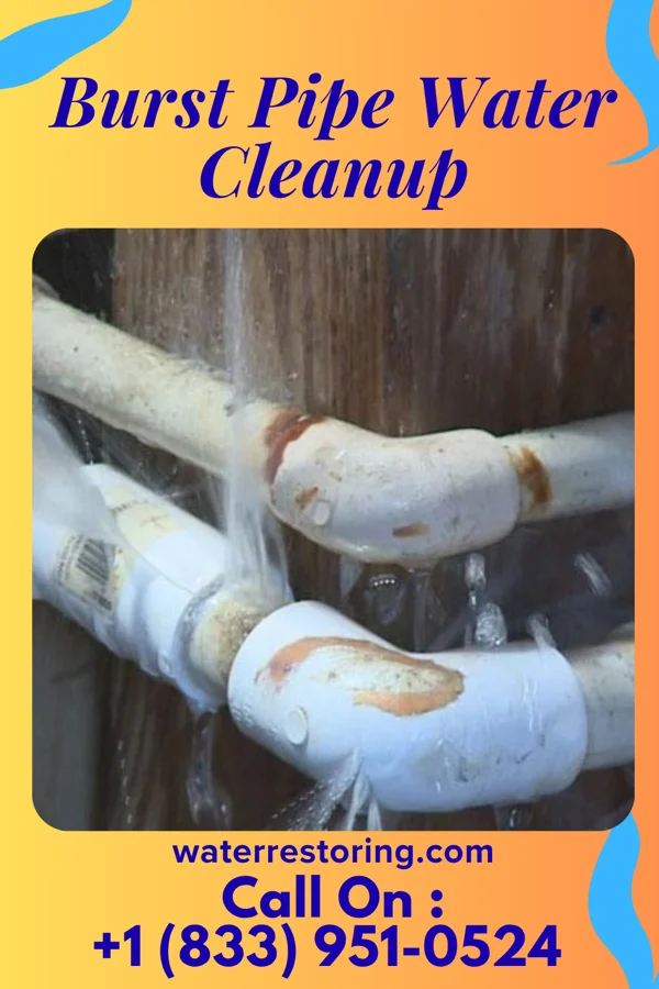 Burst Pipe Water Cleanup in Kempton, IN