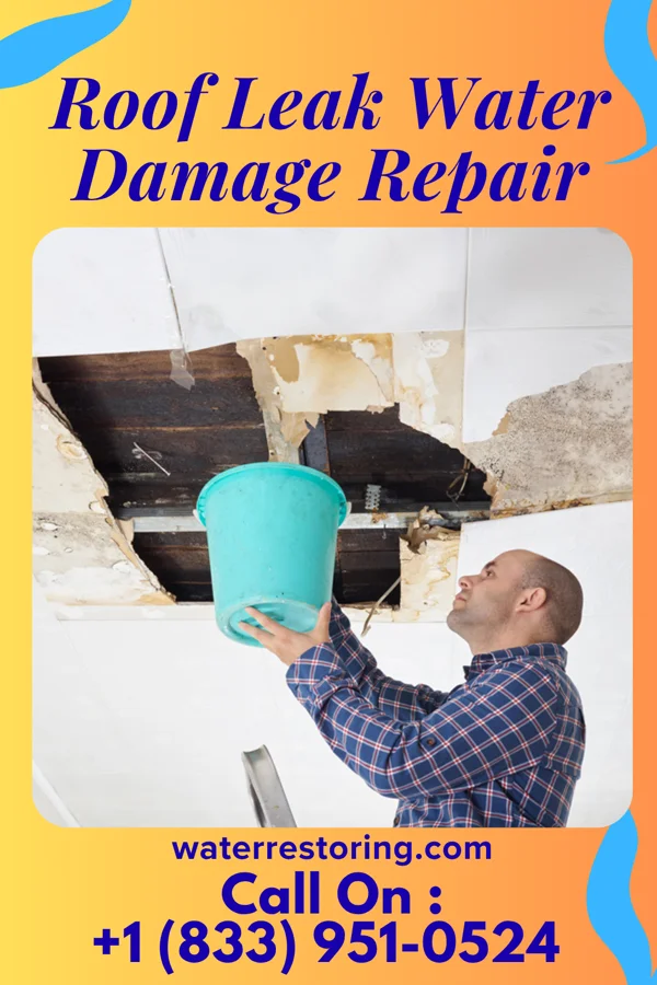Roof Leak Water Damage Repair in Kempton, IN