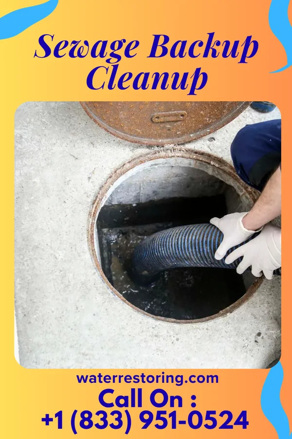 Sewage Backup Cleanup in Kempton, IN