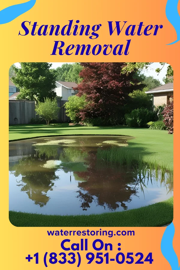 Standing Water Removal in Kempton, IN